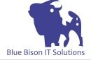 Blue Bison IT Solutions